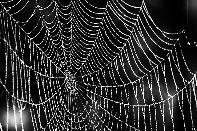 Specialista Web Design